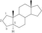 4-nor-Androstan