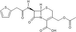 Cefalotin