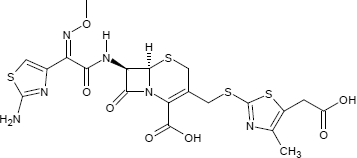 Cefodizim