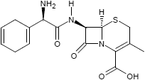 Cefradin