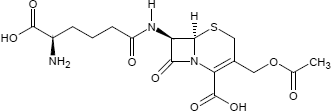 Cephalosporin C