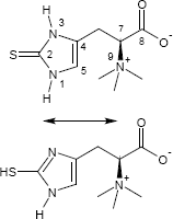 Ergothionein Tautomerie