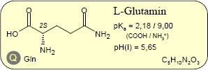 Glutamin