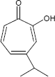 Hinokitiol