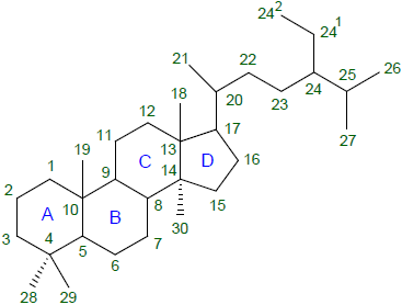 Steroide-Nummerierung