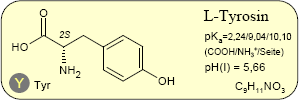 Tyrosin