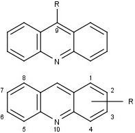 Acridyl-Gruppe