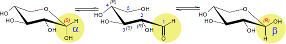 D-Xylose-Pyranose