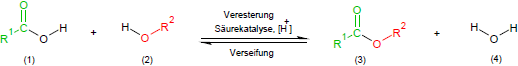 Versterung