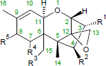 Trichothecene