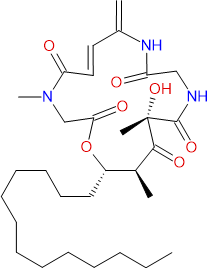 BE-43547A2