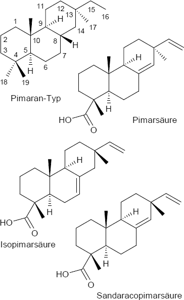 Harzsäuren vom Pimarsäure-Typ