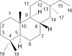 Pimaran