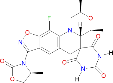 Zoliflodacin