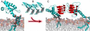 Fehlgefaltete Prion-Proteine