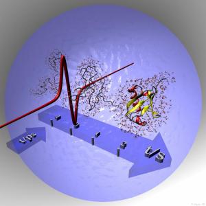 Proteinfaltung