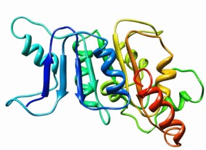 Thioesterase II