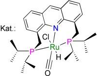 Ruthenium Zangenkomplex