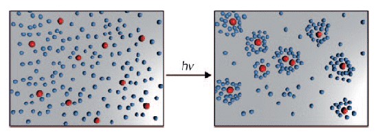 Diffusiophorese