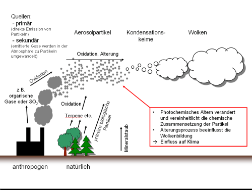 Organische Aerosole in der Atmosphäre