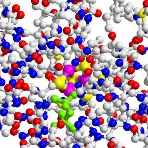 The iron sulphur cluster in the IspH protein of bacteria