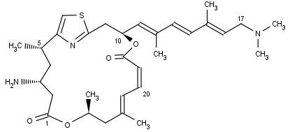 Pateamin A