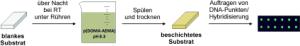 DNA-Immobilisierung