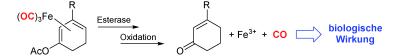 Carbonylliganden