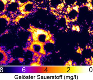 Sauerstoffverteilung in einer Zellschicht