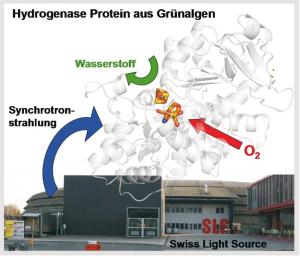 Swiss Light Source