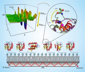 Protein-Pharmaka-Interaktion Kombinationsmethode