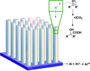 Kopfwehmittel per Photosynthese