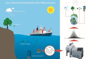 Chemisches Gedächtnis des Wassers