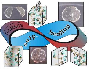 Front Cover Macromolecular Rapid