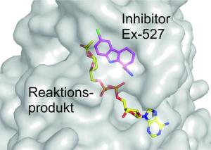 SIRT Inhibitor Ex-527