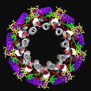 Antennenprotein