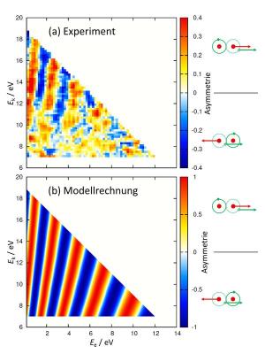 Asymmetrie der relativen Emissionsrichtung von Elektron und Proton