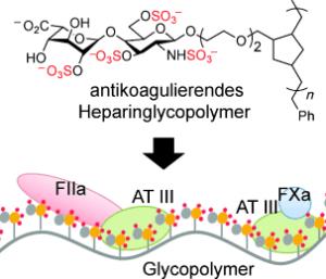 Heparin-basierte Glycopolymere