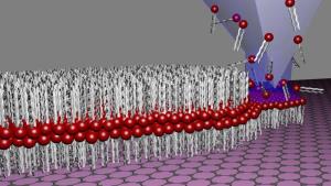 Lipid Dip-Pen Nanolithography