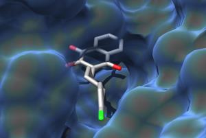 Atovaquon Zielprotein