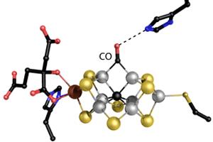 Metallzentrum der Nitrogenase