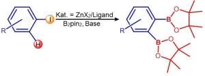 Zink-katalysierte Alkylboronat-Synthese