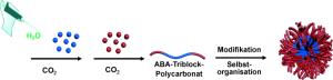 Mizellen Ein-Topf-Synthese