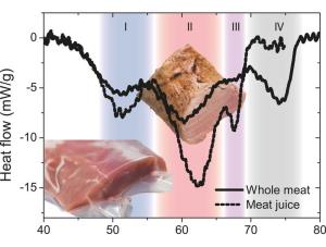 Physik des Sous-vide Garens