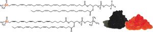 Arsenlipide des Herings